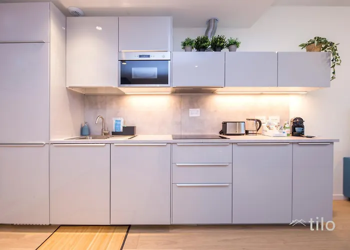 Waterfront Luxury, 1br, Free Parking, Ac, Netflix & Wifi By Tilo Lux 公寓 热那亚